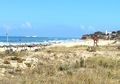 Playa de la Barrosa Chiclana.jpg