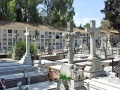 CementerioSalud11.jpg