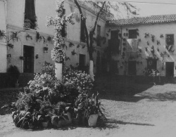 descripción:"Cruz de Mayo instalada plaza de San Rafael por Los Minguitos año 1956