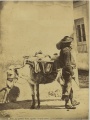El aguador en Córdoba (1860s).jpg