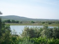 Laguna del Rincón.JPG