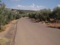 Subida por la carretera de Fuentebuena que lleva a las aldeas principales del pueblo.JPG