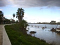 Coria río Guadalquivir.jpg