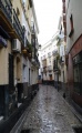 Sevilla calle harinas.jpg