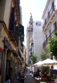Sevilla placentines.jpg