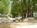 Parque fluvial 1.jpg