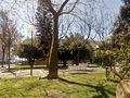Arbolado jardines plaza Asdrúbal Cádiz.jpg