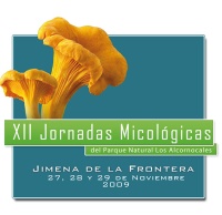 Banner micologicas 2009.jpg