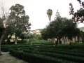 Jardín renacentista palacio Ribera Bornos.jpg