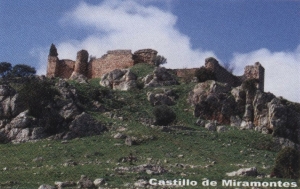 Castillo miramontes.jpg