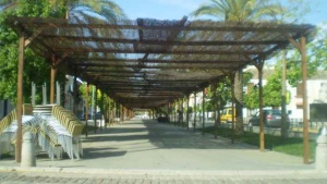Avenida Carlos III.jpg