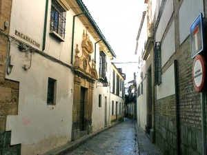 Vista de la calle Encarnación desde la calle Rey HerediaTítulo del enlace