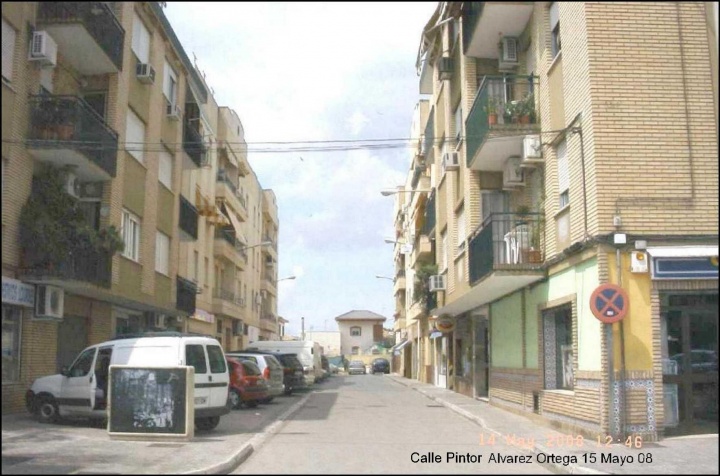 Calle Pintor Alvarez Ortega