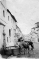 Calle de San Fernando (1900) y su fuente con mulos abrevando.png