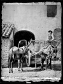 Carro de mulas en la ciudad de Córdoba (1860).jpg