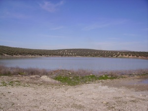 Laguna del rincon del muerto.JPG