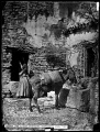 Mula en el abrevaero (1860s).jpg