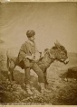 Niño cordobés con burro (años 1860s).JPG