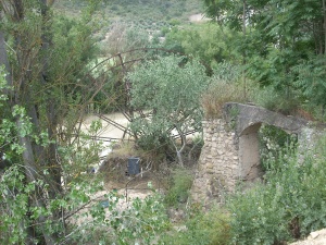 Noria situada en la Huerta de las Cruces.jpg