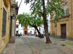 Plaza del Cardenal Salazar.jpg