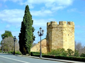 Torre de Guadalcabrillas (2007).jpg
