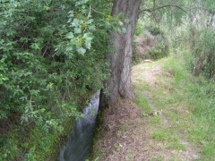 Acequia 1.JPG