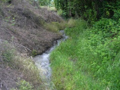 Acequia 3.JPG