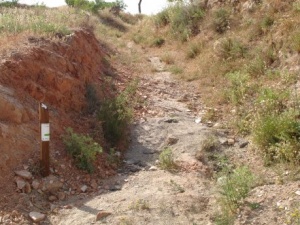 Sendero lasolana murtas1.jpg