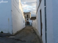 Calle palmas.jpg