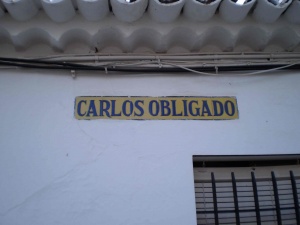 Cartel Calle Carlos Obligado (Calañas).jpg