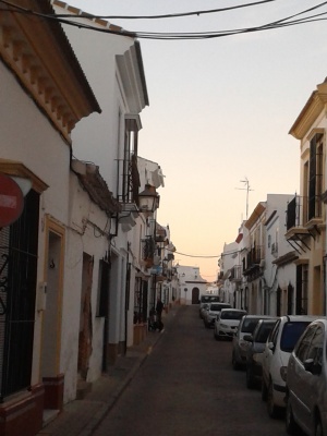 Calle Arzobisopo Almaraz o Calle Olivos de Moguer