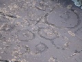 Petroglifos.jpg