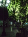 Plaza de Andalucia de noche.jpg