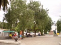 Plaza del Llano de Aroche.jpg