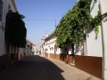 Calle Parras 2.jpg