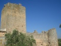 Castillo Aragonesa.jpg