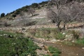 Fuenteraso frailes 2010 5.JPG