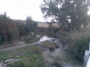 Río Guadalbullón desde el Puente entre Las Infantas y Villargordo(Jaén).jpg