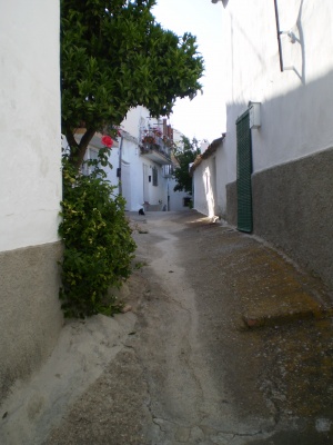 Calle Parras 2.JPG