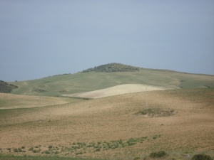 Cerro del búho.JPG