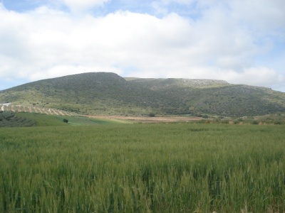 Sierra de Almargen.JPG