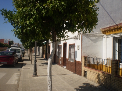 Av. Blas Infante (Isla Mayor).jpg