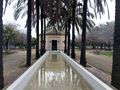 Estanque y palmeras jardines Buhaira Sevilla.jpg