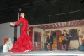 Noche flamenca Herrera 2008.jpg
