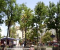 Plaza Duque sevilla.jpg