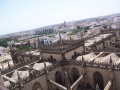 Sevilla Cubiertas de la catedral y cimborrio.jpg