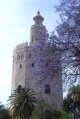 Sevilla torre Oro.jpg
