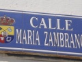 Calle María Zambrano.jpg